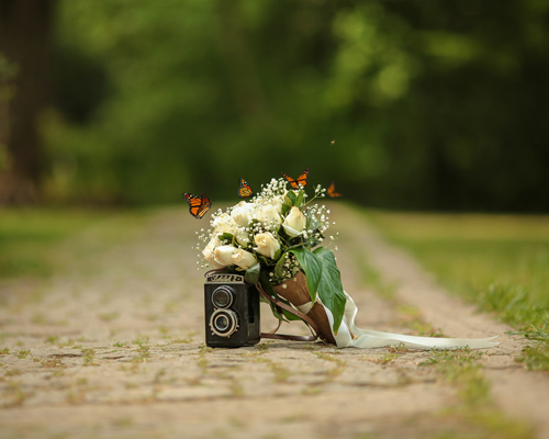 Ugur Tekdal - Gelin & Damat - Wedding